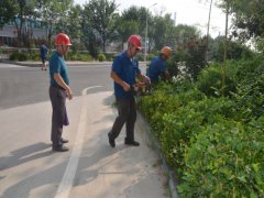 鞏固衛(wèi)生城 我們在行動(dòng)