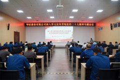 公司黨委書記、董事長盛守祥為黨員干部講黨課